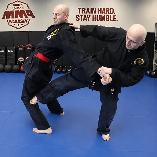 Standing Jiu-Jitsu self-defence control technique